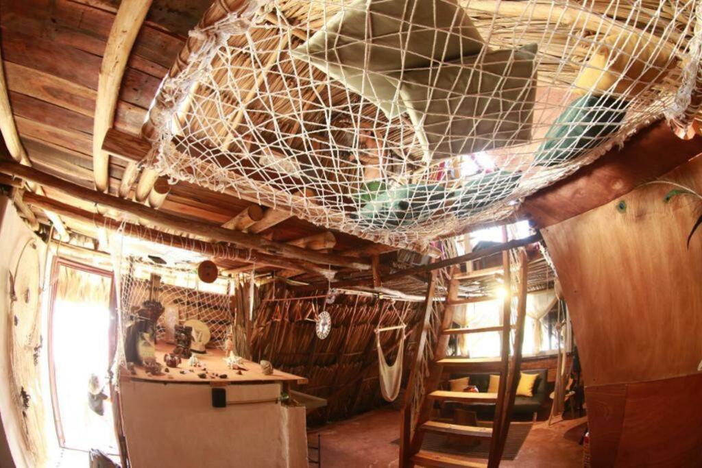 Jungla Bacalar Daire Dış mekan fotoğraf