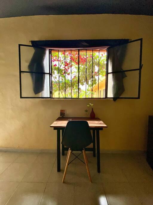 Jungla Bacalar Daire Dış mekan fotoğraf