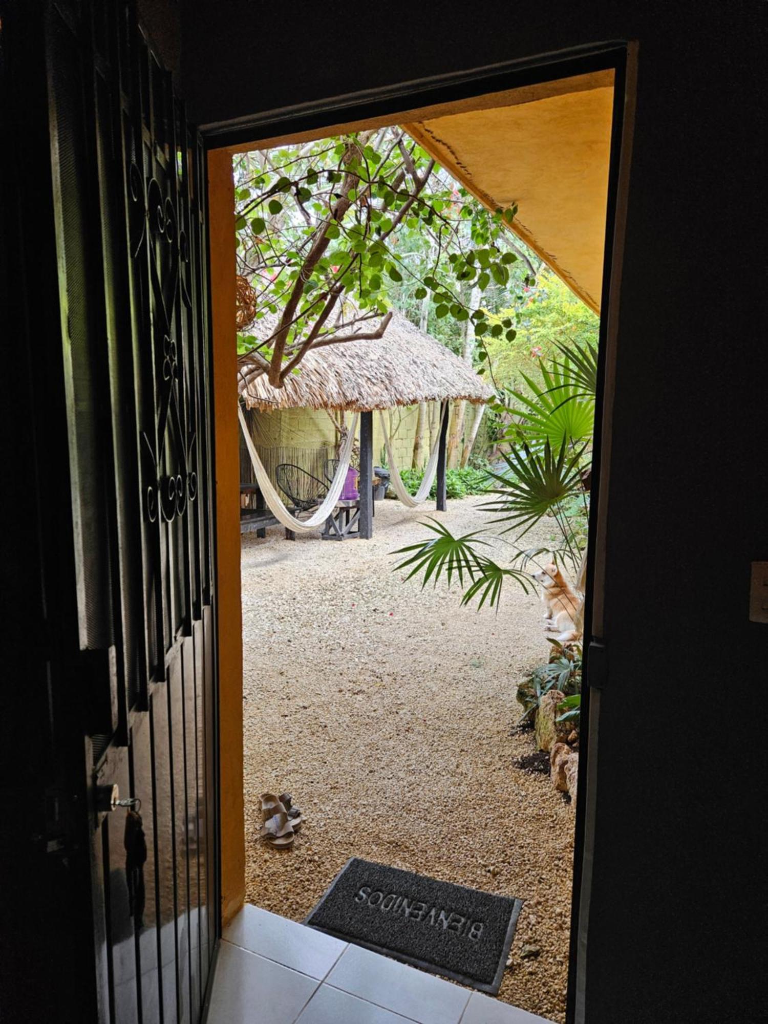 Jungla Bacalar Daire Dış mekan fotoğraf