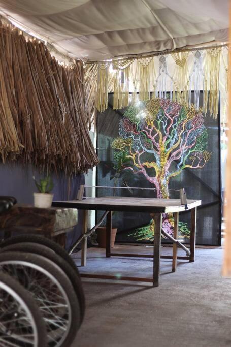 Jungla Bacalar Daire Dış mekan fotoğraf