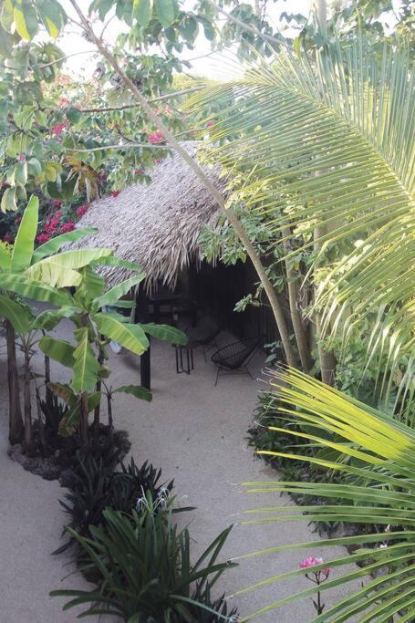 Jungla Bacalar Daire Dış mekan fotoğraf