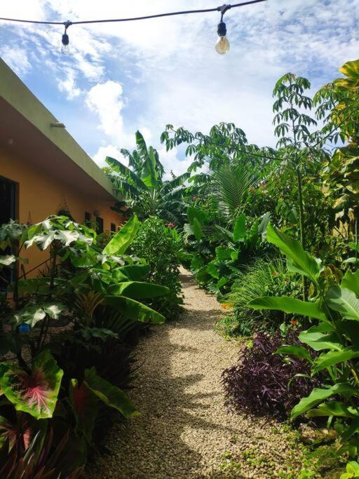 Jungla Bacalar Daire Dış mekan fotoğraf