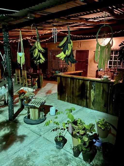 Jungla Bacalar Daire Dış mekan fotoğraf