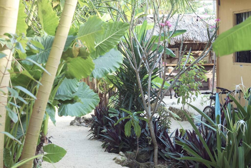 Jungla Bacalar Daire Dış mekan fotoğraf