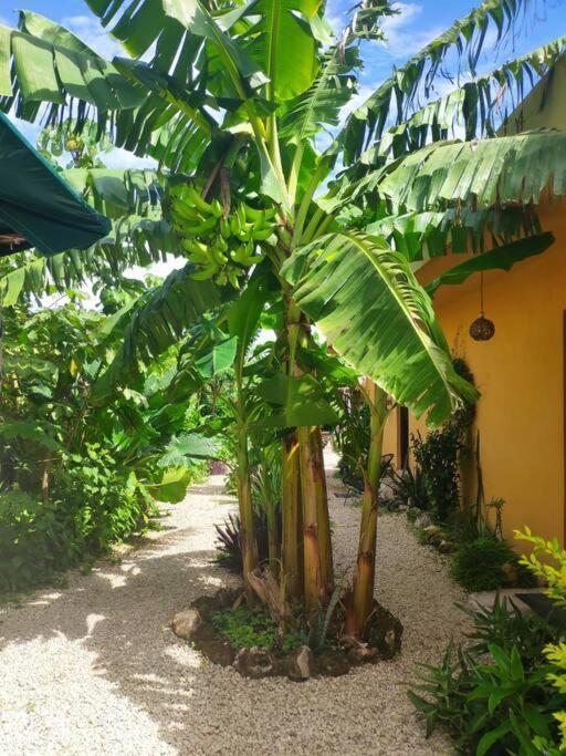 Jungla Bacalar Daire Dış mekan fotoğraf
