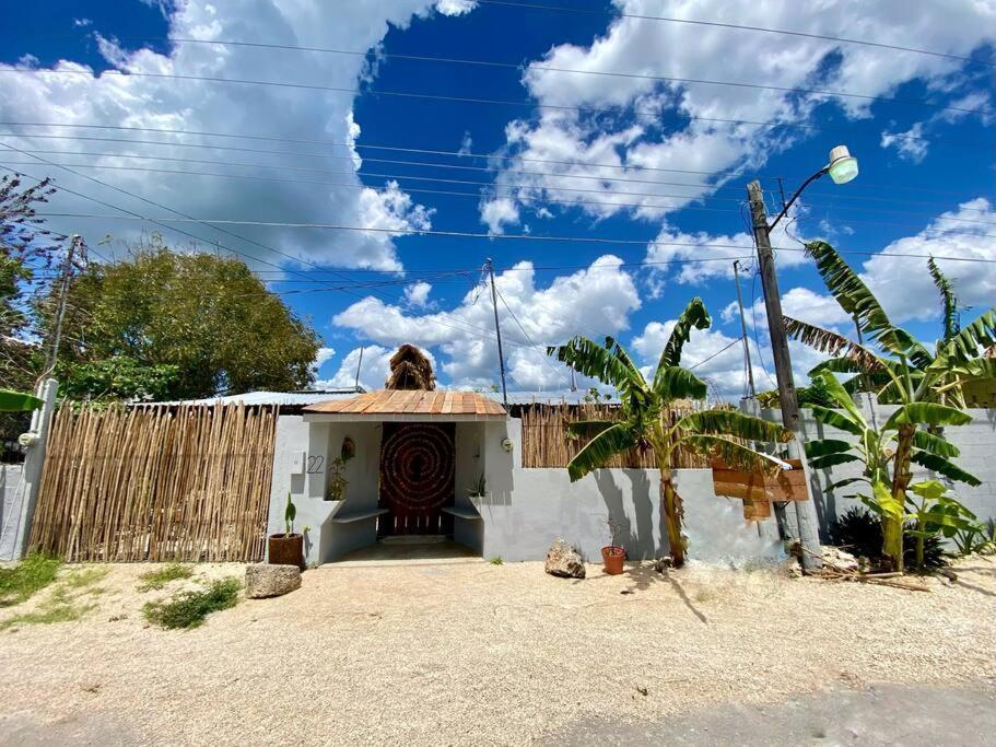 Jungla Bacalar Daire Dış mekan fotoğraf